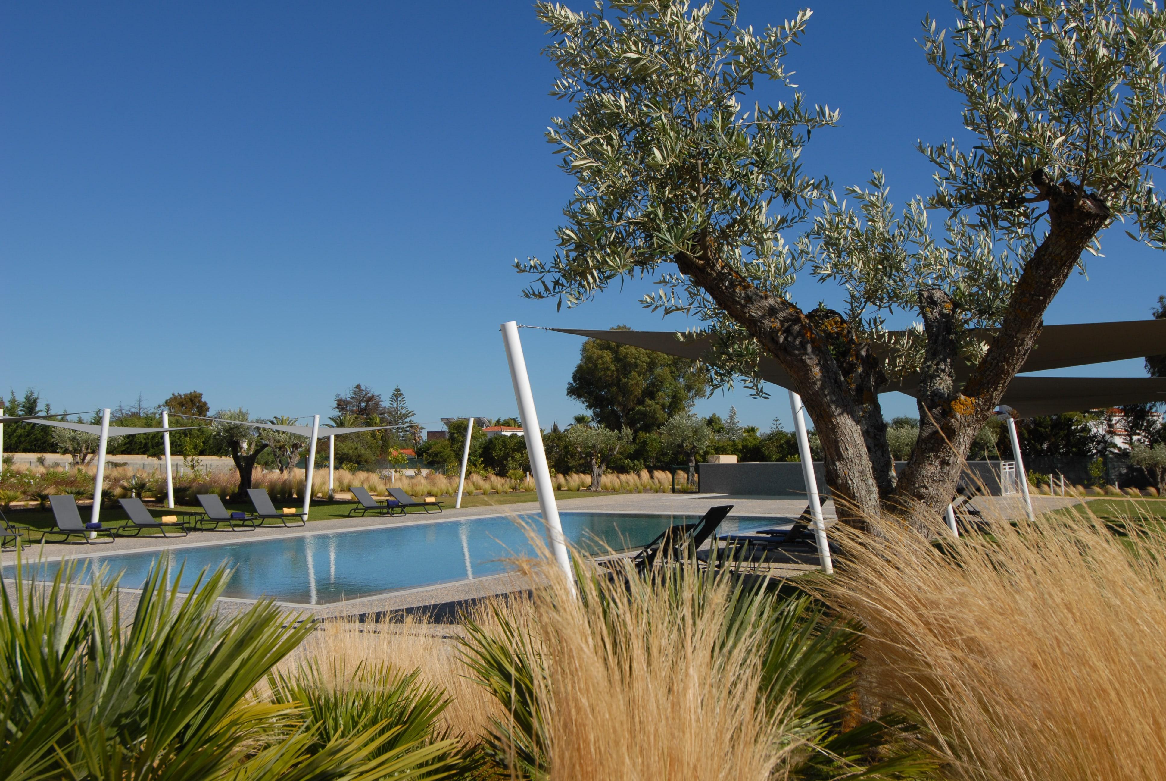 Quinta Do Algarvio Village Carvoeiro  Exteriör bild